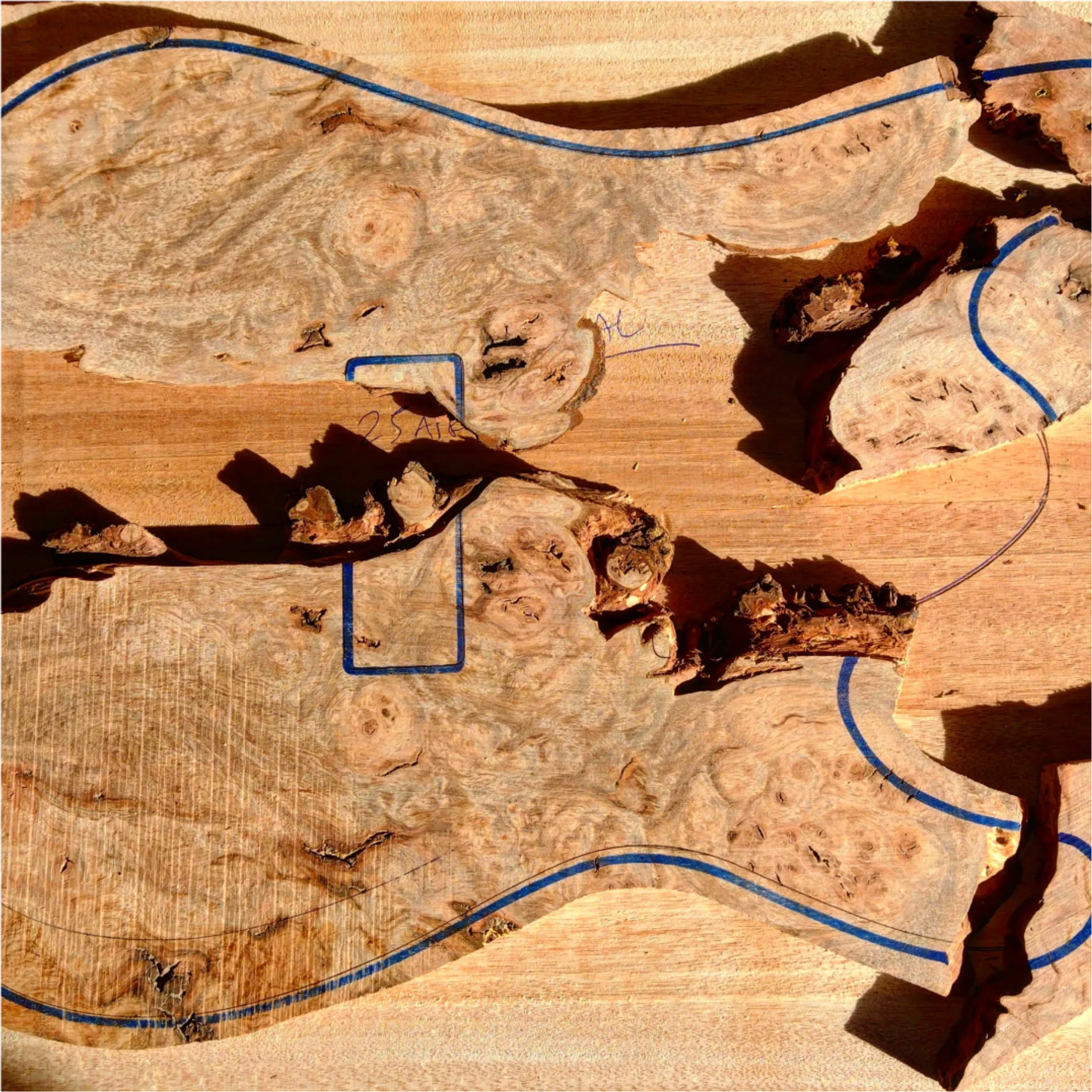 Lutherie workshop